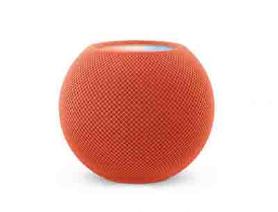 diefstal Gom Aardewerk Apple HomePod Mini wireless Bluetooth smart speaker Lajaecom