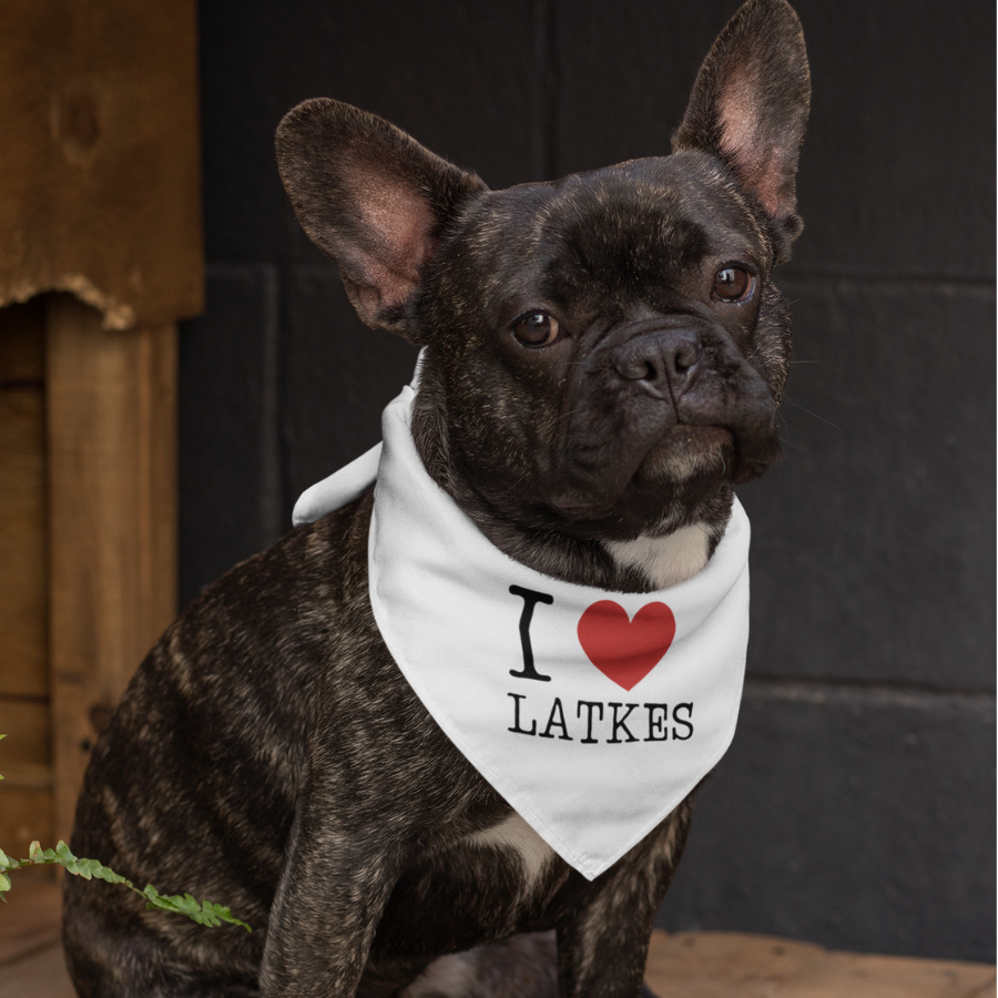Dog Loves Latke bandanna shown on a black French Bulldog.