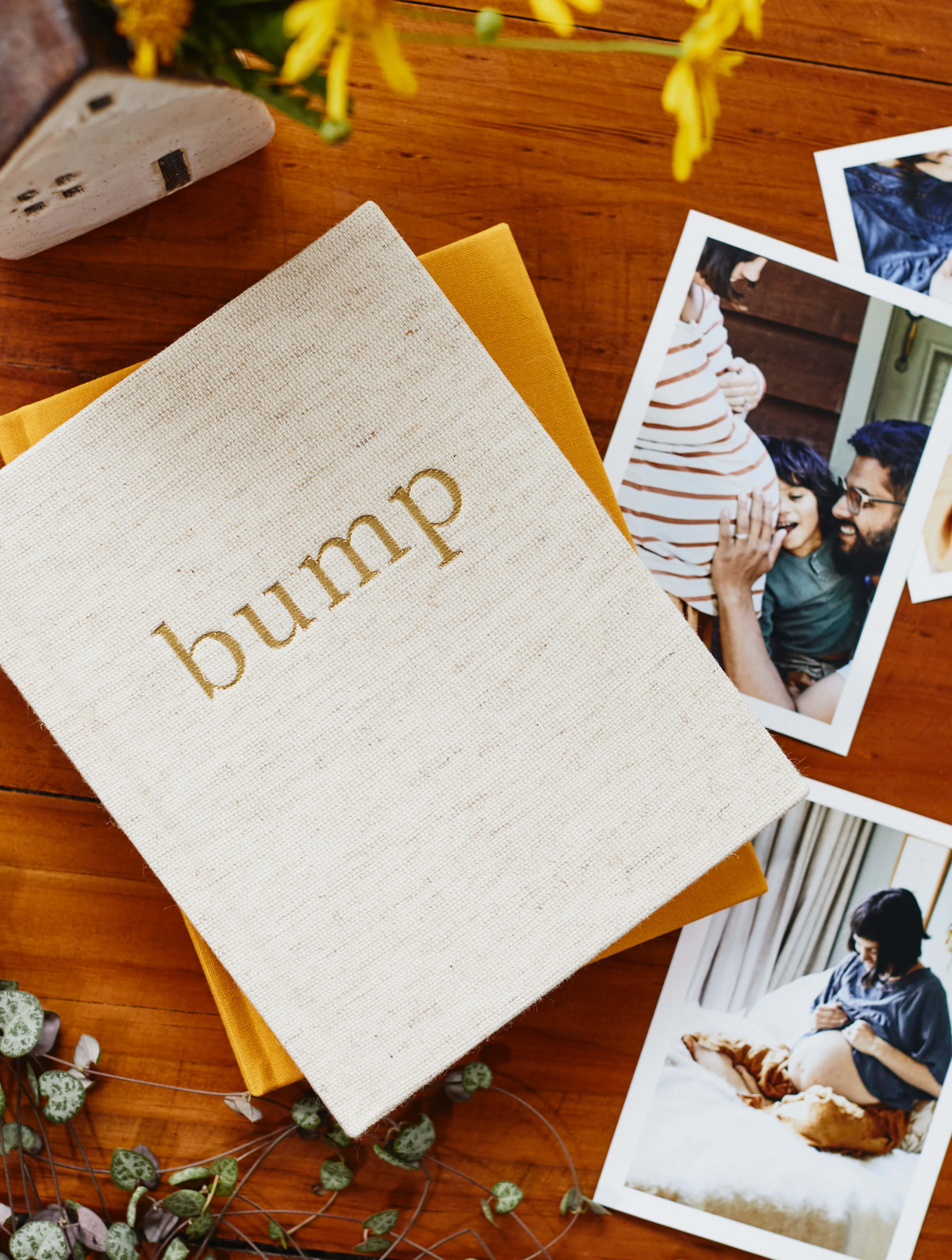 Bump. A Pregnancy Story - Write To Me AU product image