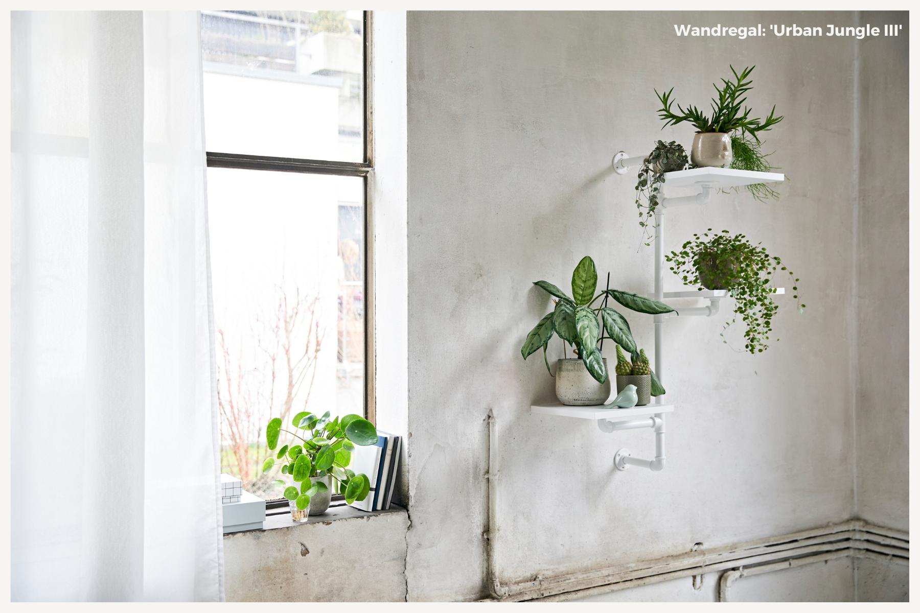 Urban Jungle: Como transformar sua casa em um oásis verde