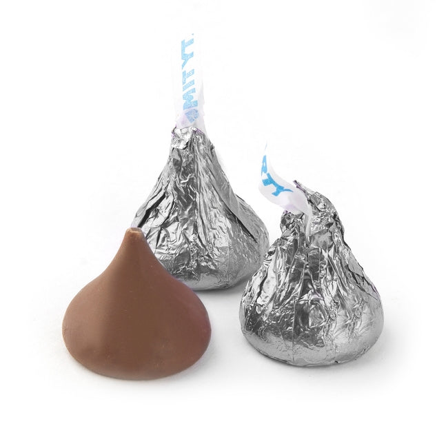 HERSHEY'S KISSES SILVER – The Penny Candy Store