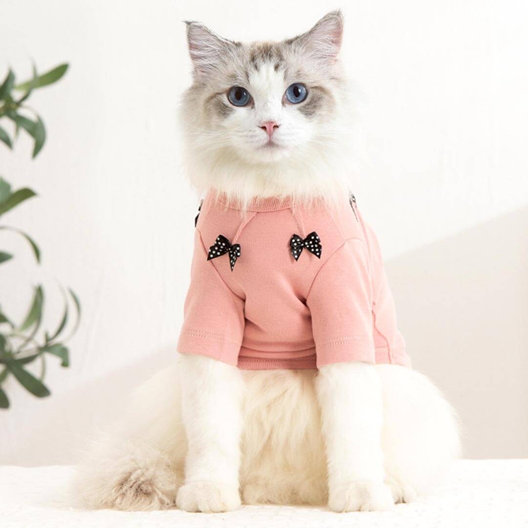 Bella Cat T-Shirt