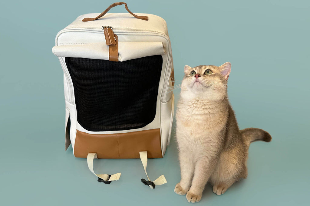 Best Cat Backpacks for Carrying Cats | MissyMoMo