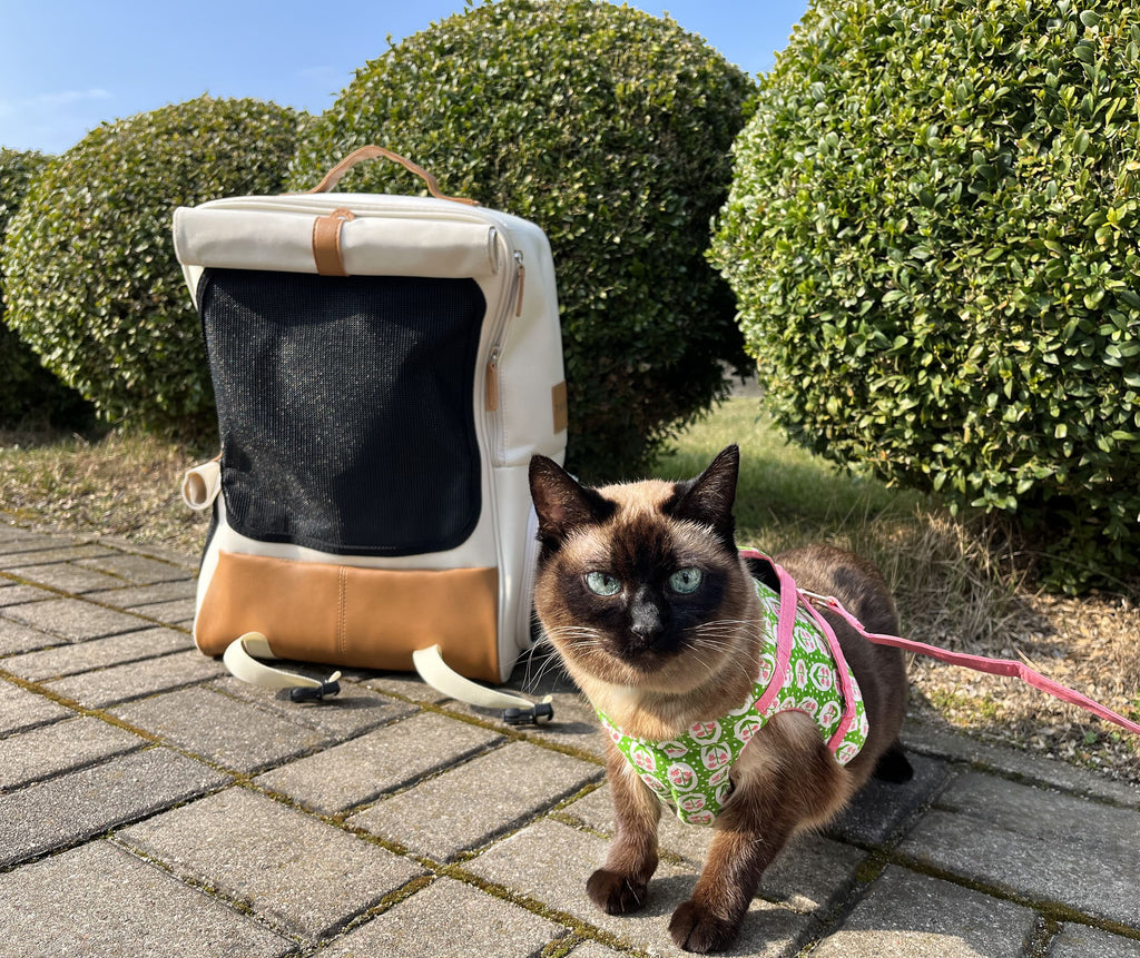 Cat Backpacks | Cat Backpack Carriers | MissyMoMo