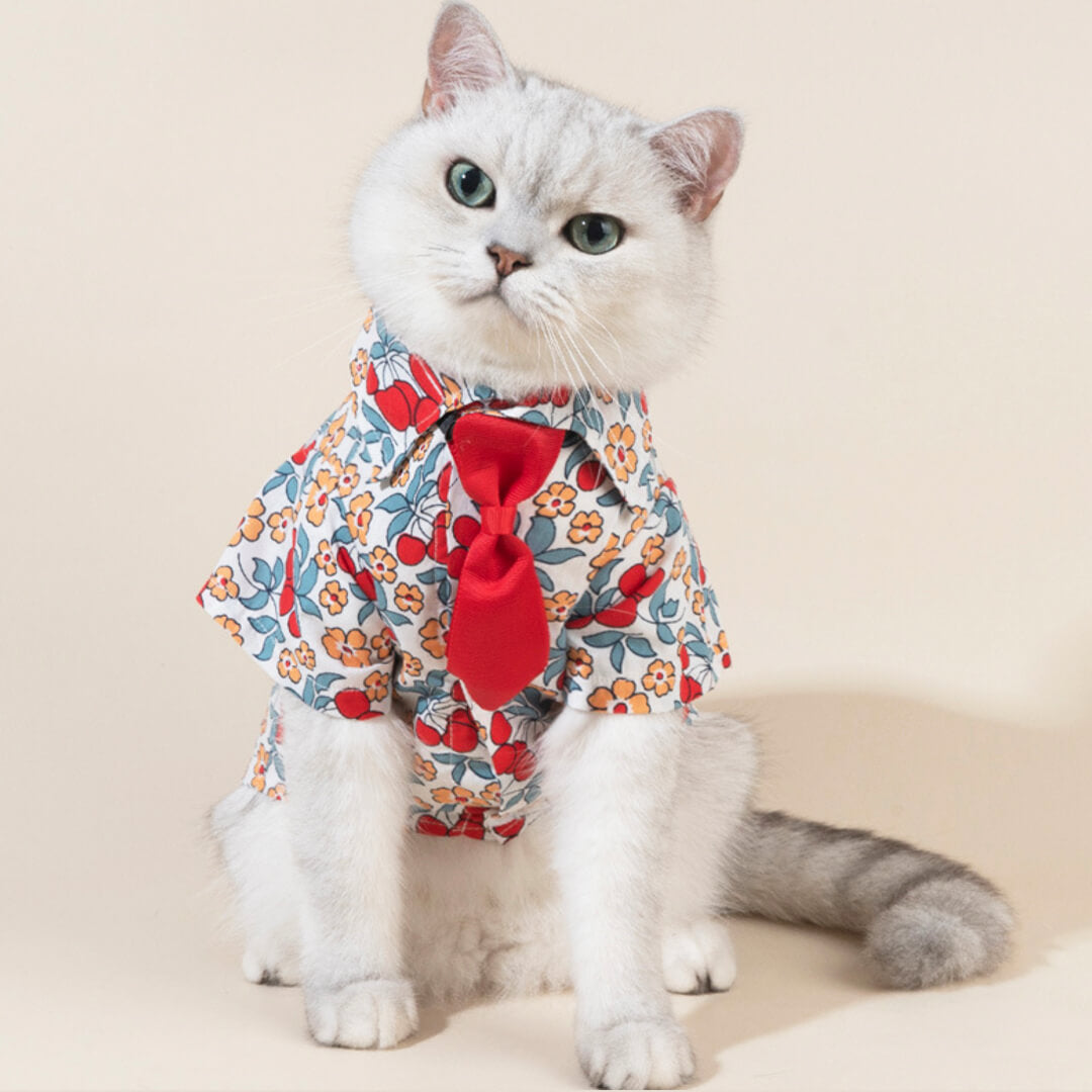 Catsby Cat Shirt & Tie Set