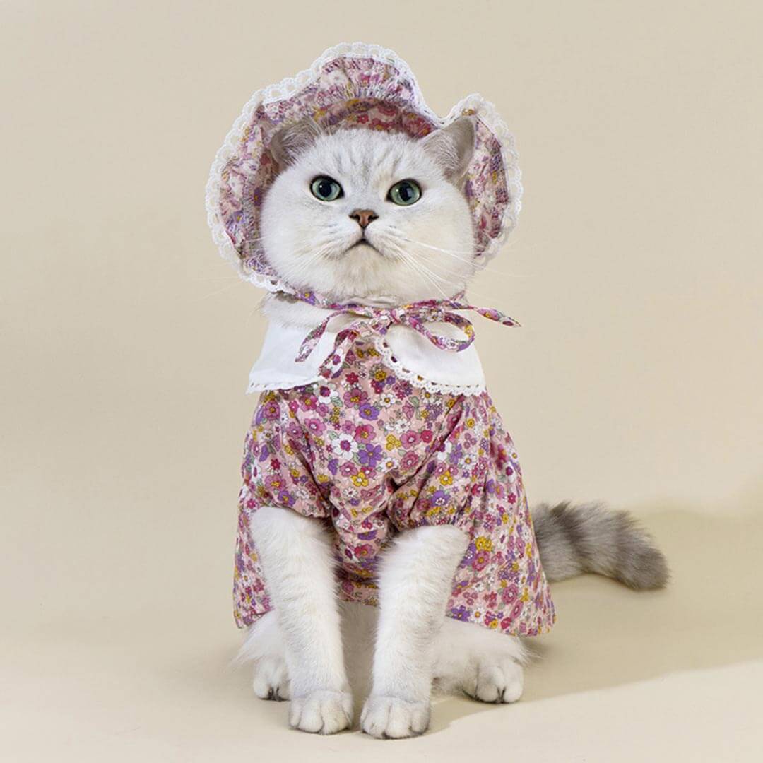 Little Princess Cat Dress & Hat Set