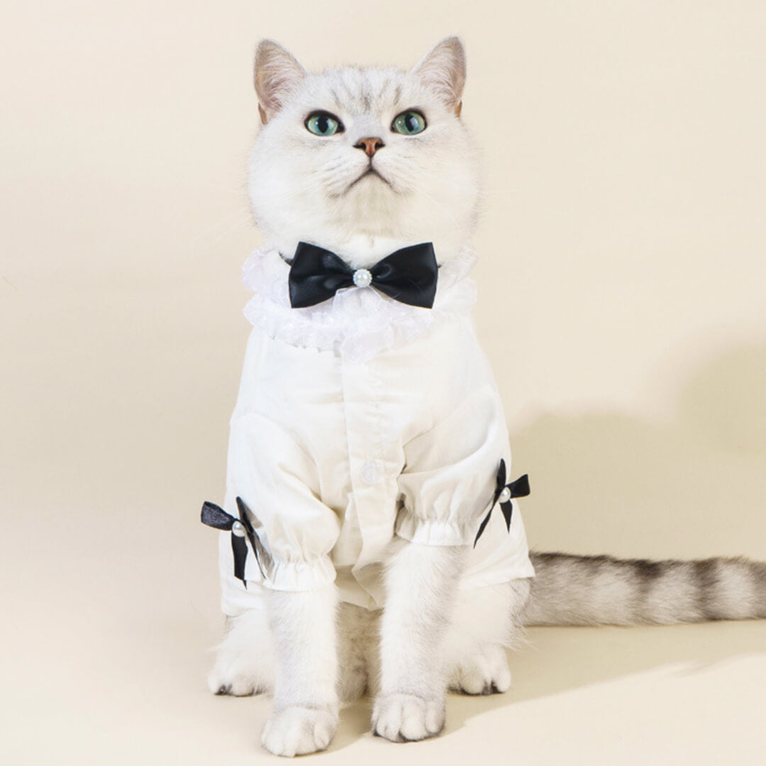 Missy Cat Shirt & Bow Set