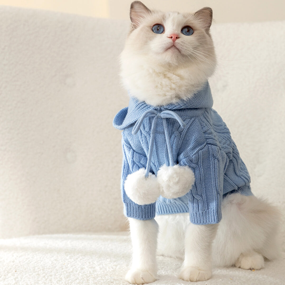 MoMo Knit Cat Hoodie