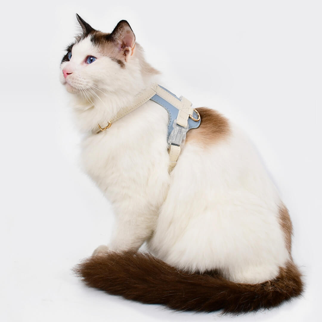 Phoenix Cat Harness & Leash