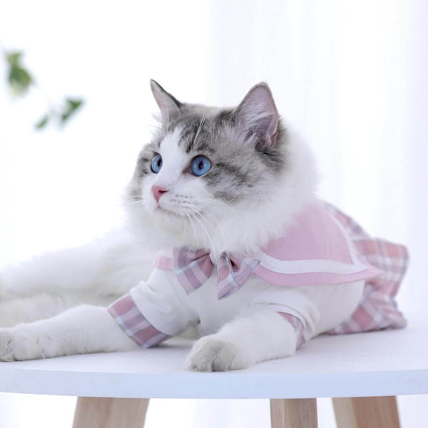 Bella Cat Dress