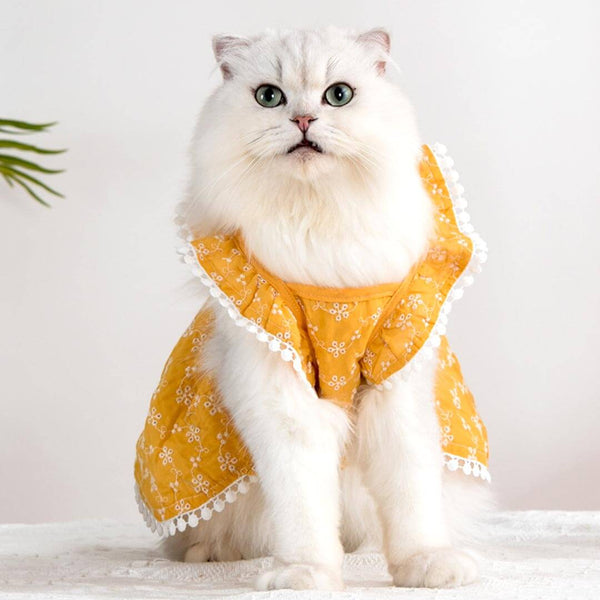 Bella Cat Dress