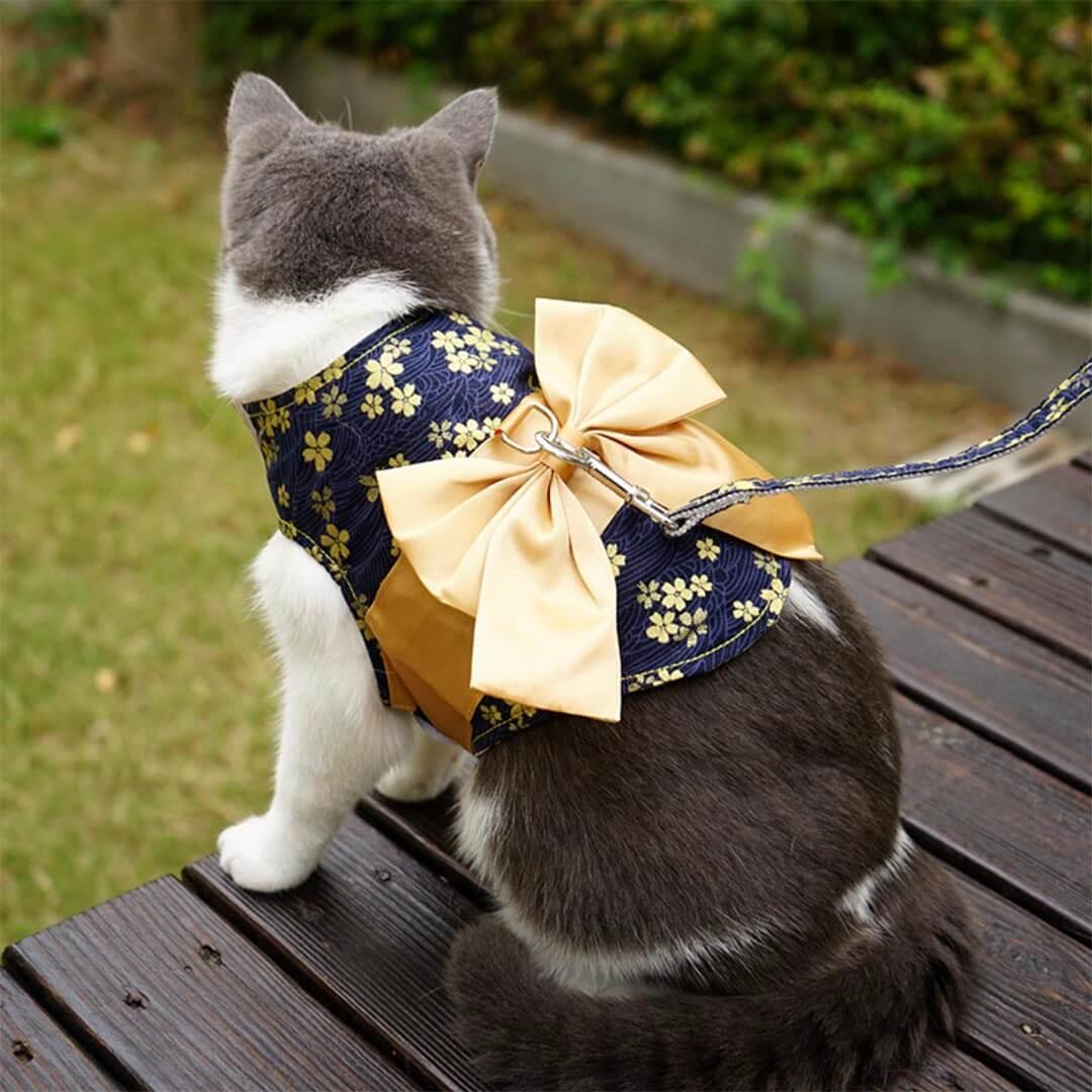 Aiko Cat Harness & Leash