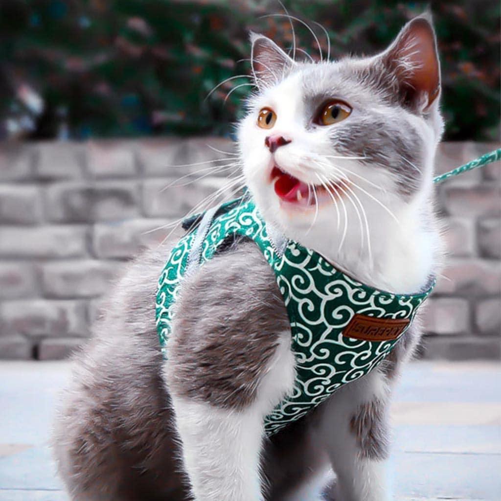 Fuku Cat Harness and Leash