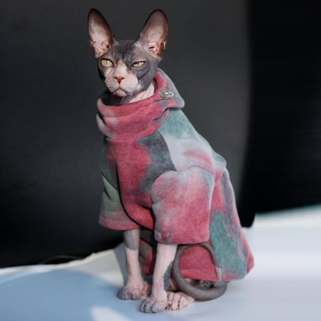 Hypurr Tie Dye Cat Hoodie