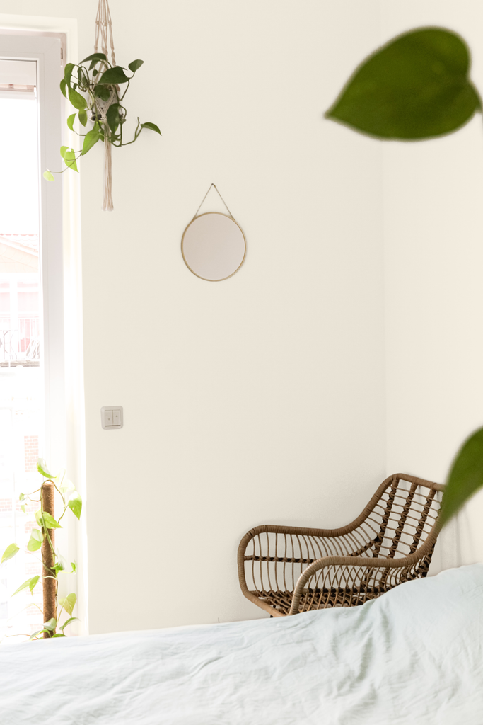 Clean bedroom wall close-up with a neutral painted wall, a hanging plant and a rattan chair