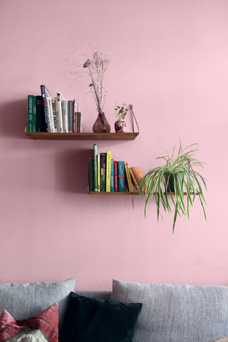 Close up of a living room wall painted in pink with two shelves decorated with small books and plants, and above them a cropped image of a grey sofa
