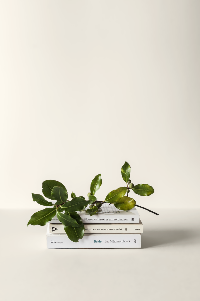 three books and a tree branched stacked on top of each other and photographed in front of a warm neutral wall