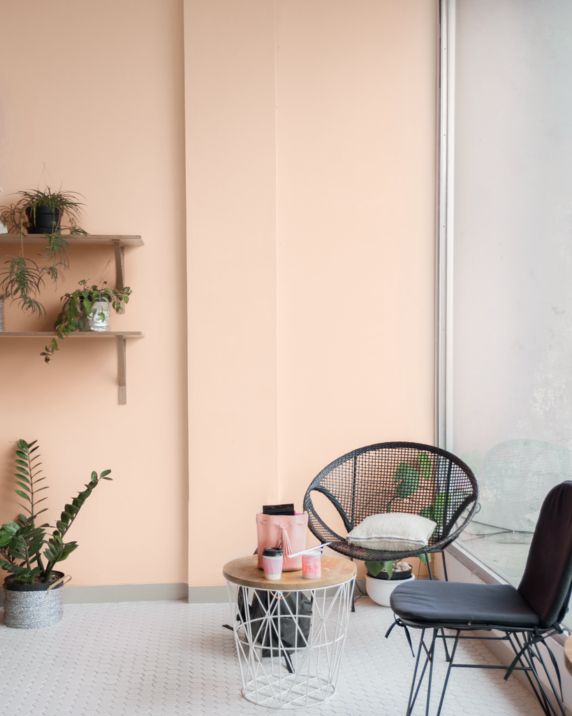 Black rattan patio chairs surrounded by plants and photographed in front of a peachy pink wall