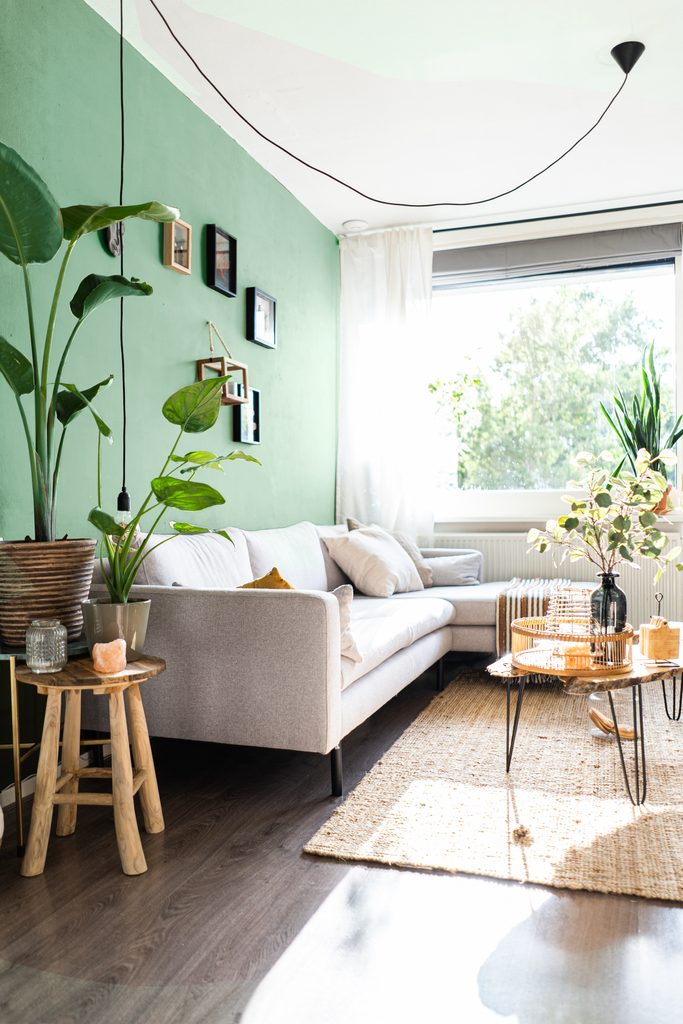 Living room with a neutral white sofa, wooden side table and coffee table and plants, photographed in front of a green wall painted with YesColours Calming Green paint