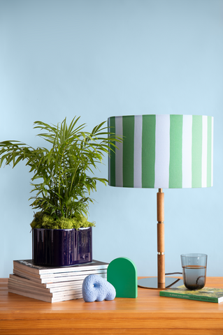 photo of a fern plant placed on a stack of books, surrounded by a table lamp with wooden base and stripy lampshade in blue and green, with a glass half filled with water on its right side and a light blue background behind everything