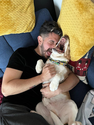 Photo of a man dressed in black with slick black hair and handlebar moustache, holding a yawning sand coloured beagle dog and lying on a dark navy sofa surrounded by yellow cushions