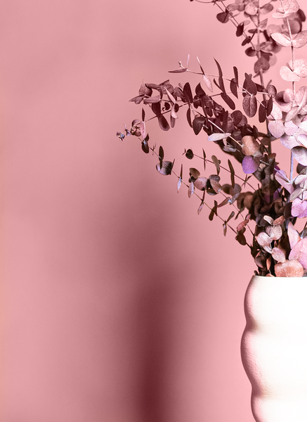 A white textured ceramic vase with pink-painted eucalyptus branches in it, photographed in front of a dusky pink wall