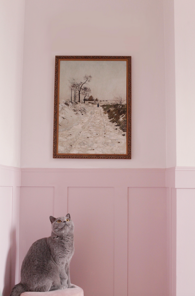 Grey cat photographed in front of a pale pink wall with darker pink painted panelling and a picture hanging above it