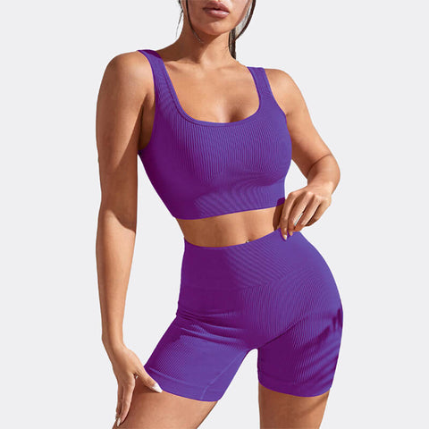 Women‘s Seamless 2 Piece Ribbed Outfits Yoga Gym Activewear Set
