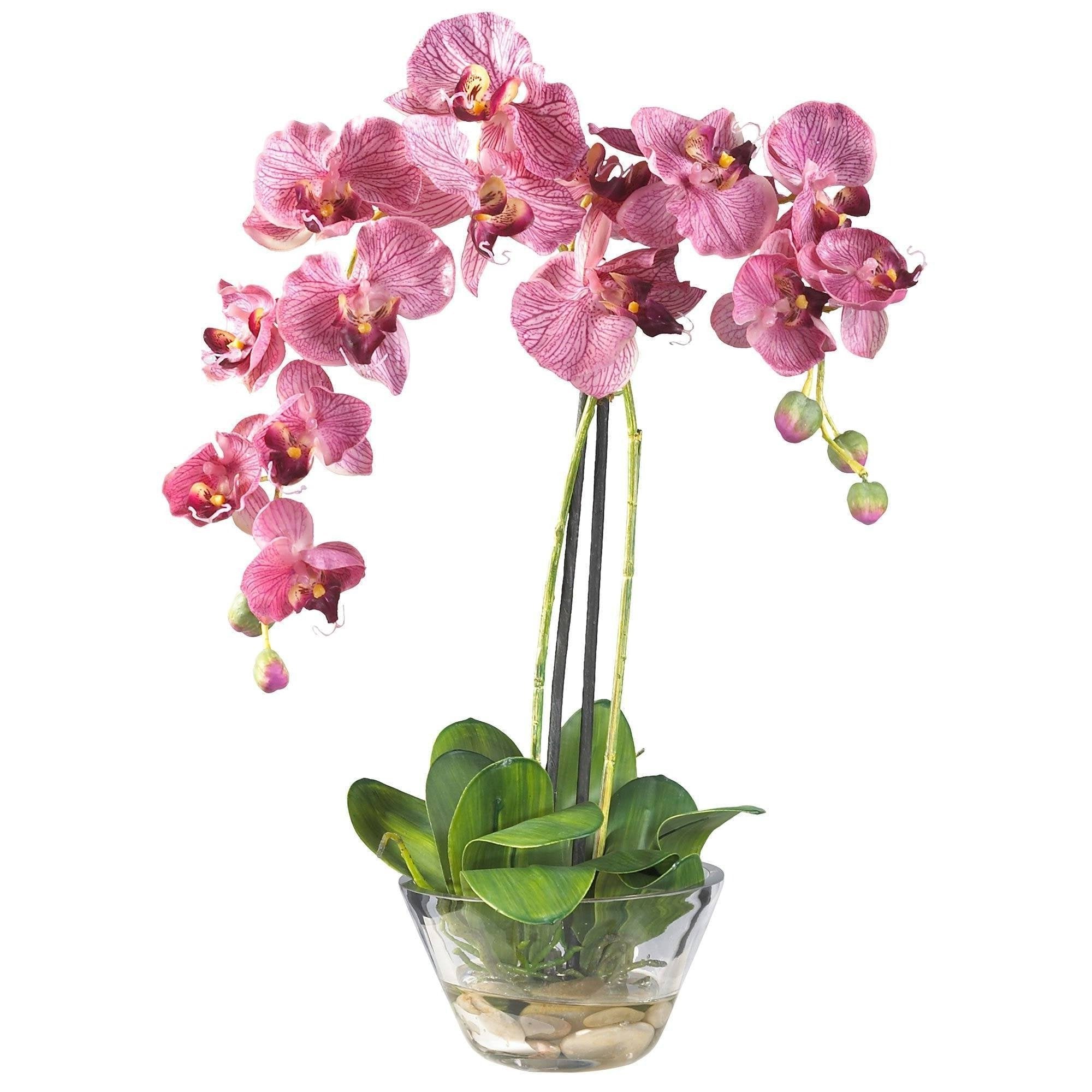 Arrangement de fleurs en soie Phalaenopsis | Fleur Artificielle
