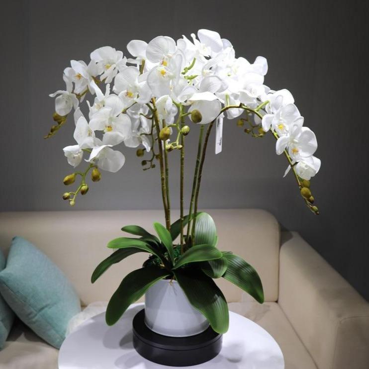 Orchidée artificielle | Fleur Artificielle