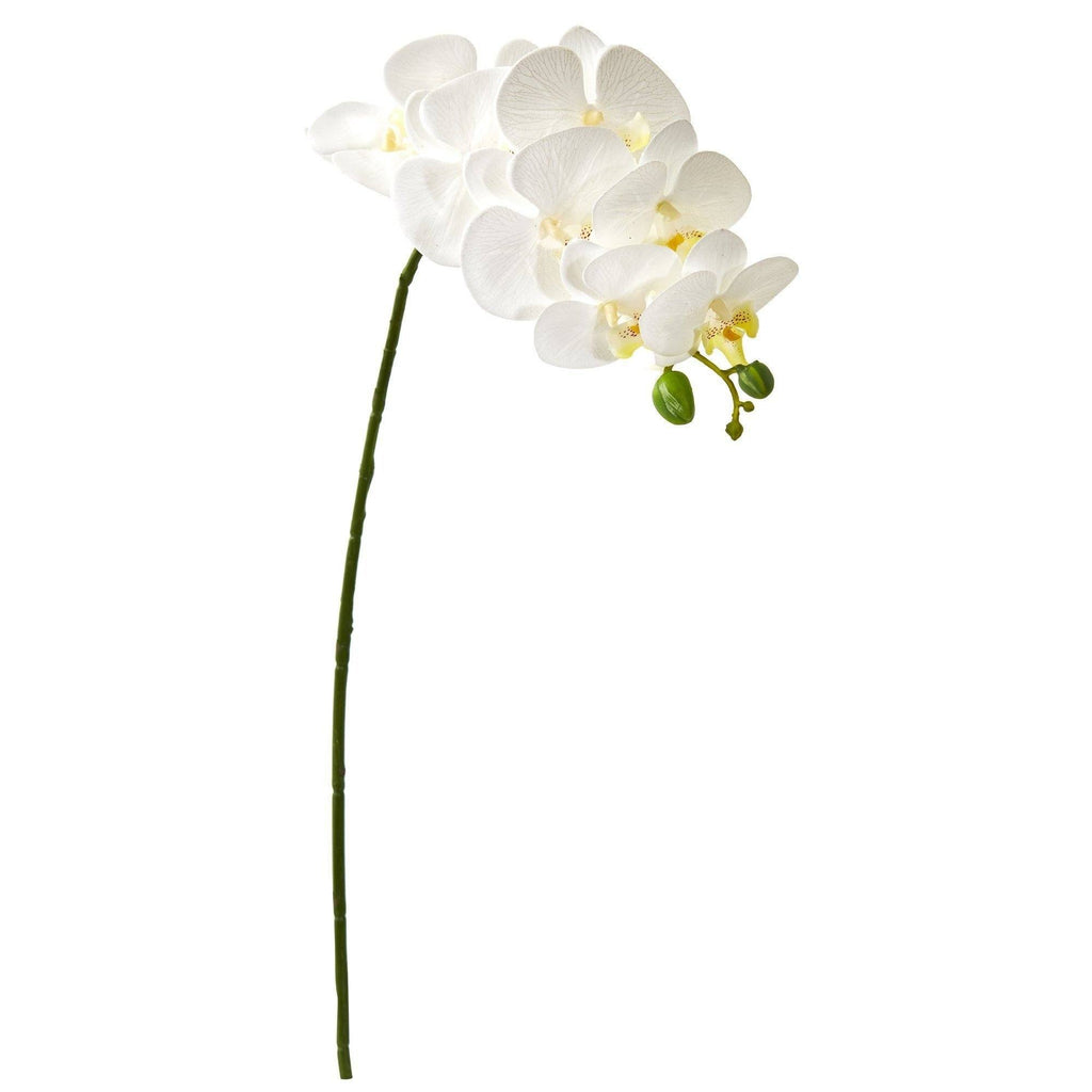 Tige de fleurs artificielles Orchidée Phalaenopsis | Fleur Artificielle
