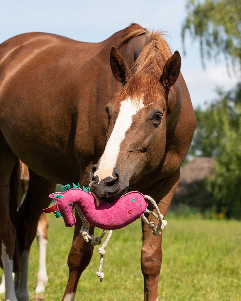 Jouets et accessoires