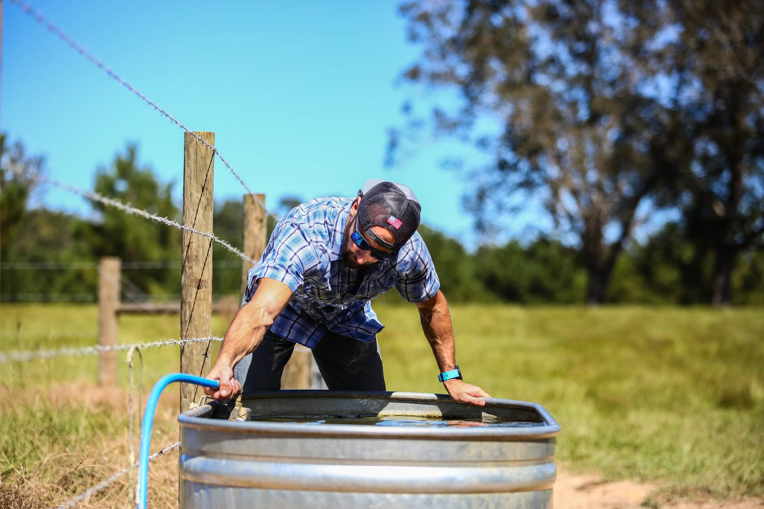 On the Farm - About Us Wagyu-1.jpg__PID:116d9fb2-c0ae-46a8-ba2e-d2d07f1b354f