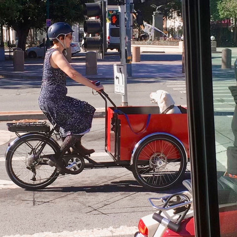 woman riding christiania bike with dog