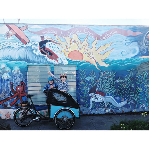 Santa Cruz Street Art Ocean Wall