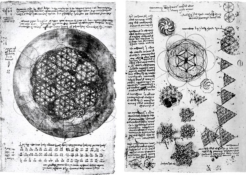 Schémas et études de la Fleur de vie de Leonard de Vinci