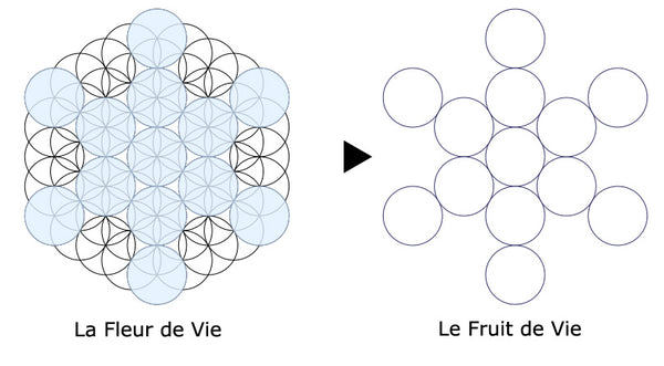 le symbole du fruit de vie dans la fleur de vie