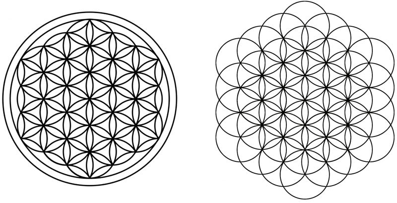 Les deux représentations géométriques de la fleur de vie