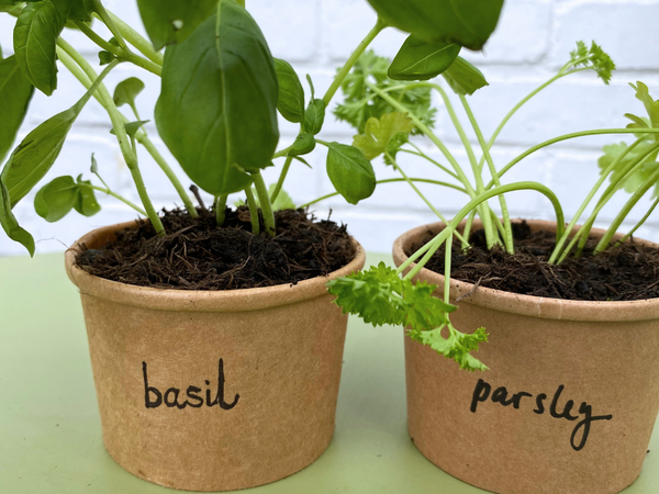 Pots For Tots Herb Planters idea