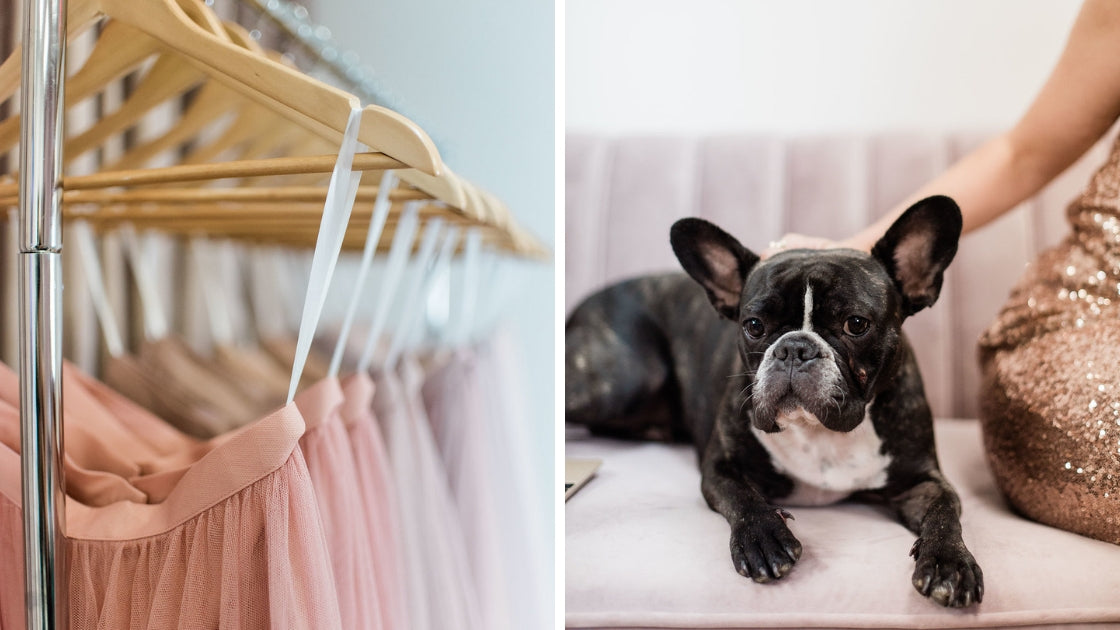 Different tulle skirts hanging up in pink colors stella lounging on couch next to michelle
