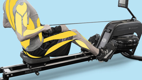 Muscles being used when exercising on the LifeSpan Fitness Aqua Rower