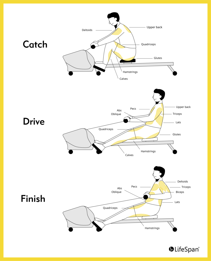36 30 Minute Will a rowing machine build leg muscle Routine Workout