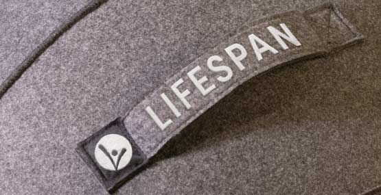 Yoga Ball Office Chair – LifeSpanFitness