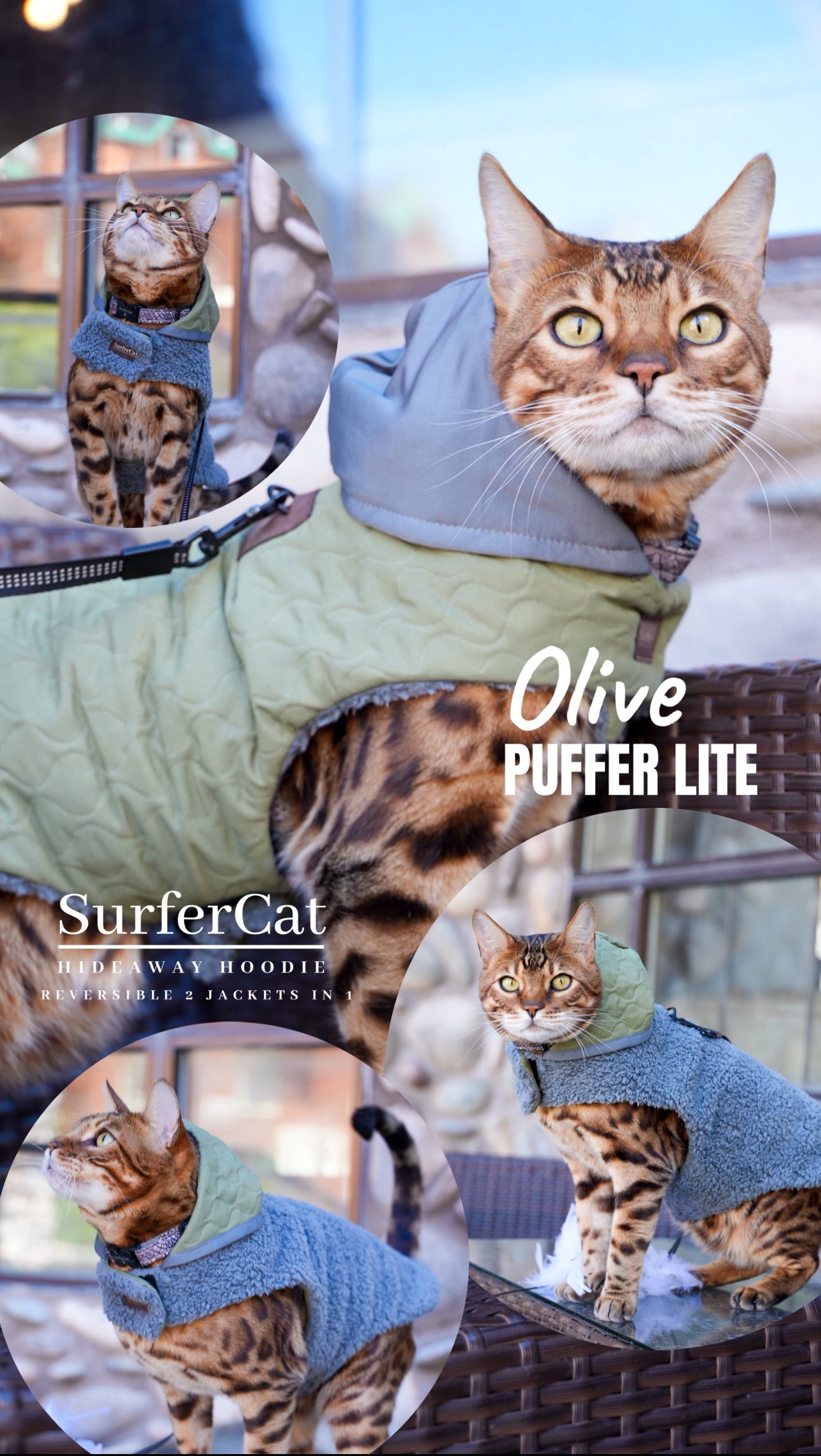 Cat Jacket Hideaway Hoodie Coat