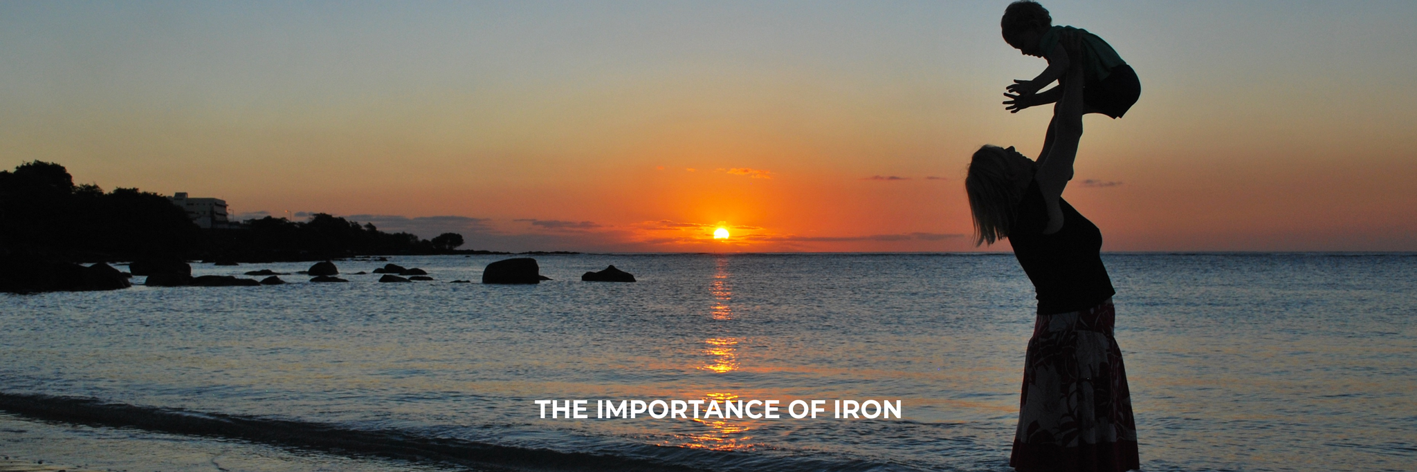 The Importance of Iron