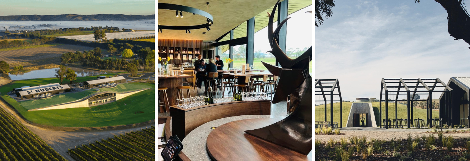 Winery Experience in Melbourne