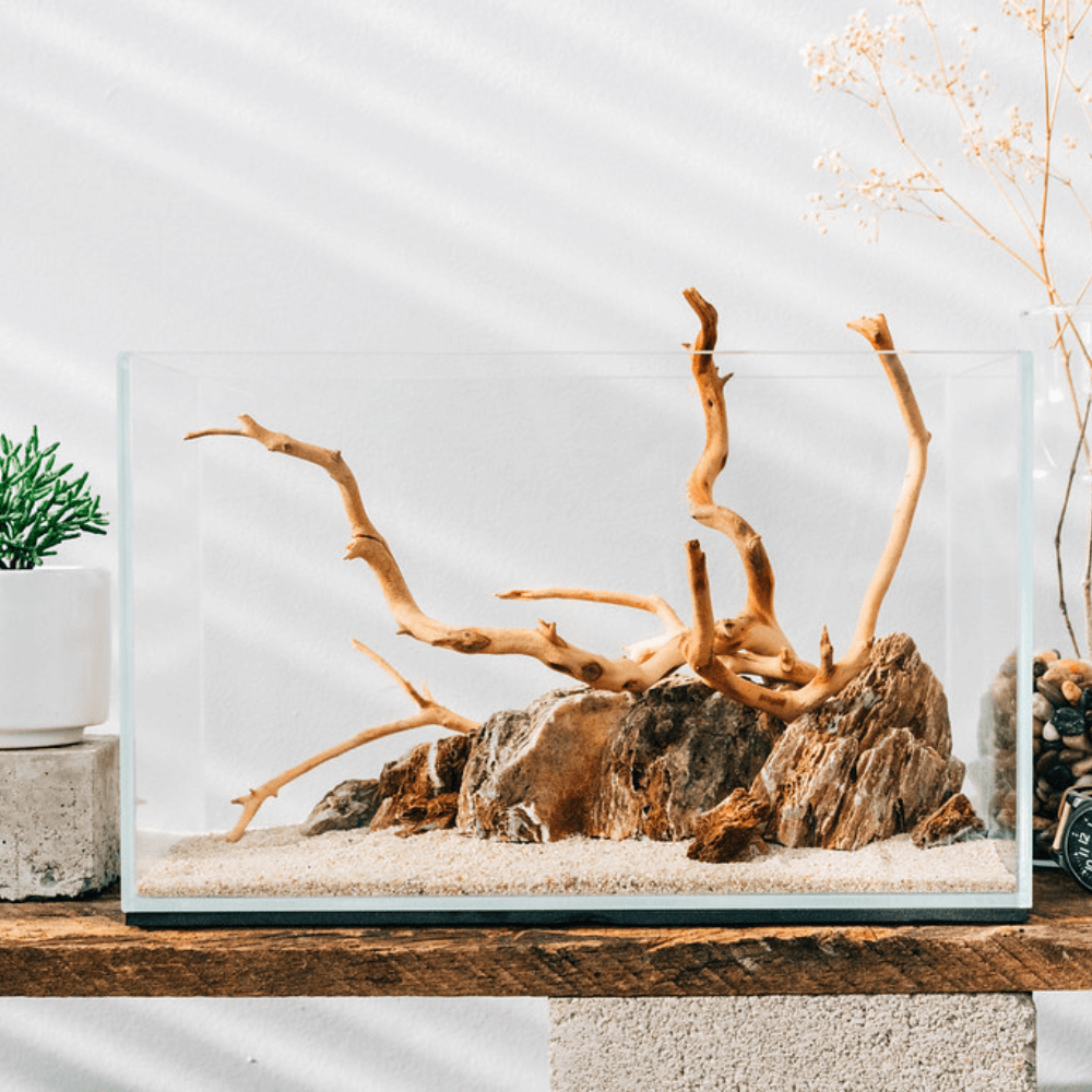 glass tank with rocks and spider wood arranged inside