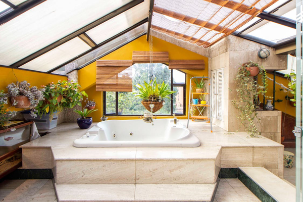 Best Indoor Plants for Bathroom – ART Flowers LA