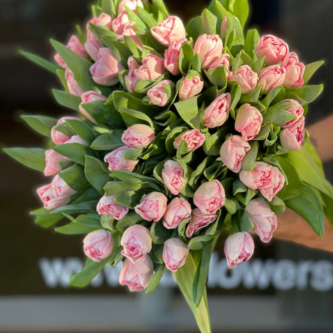 Tulip Bouquets – ART Flowers LA