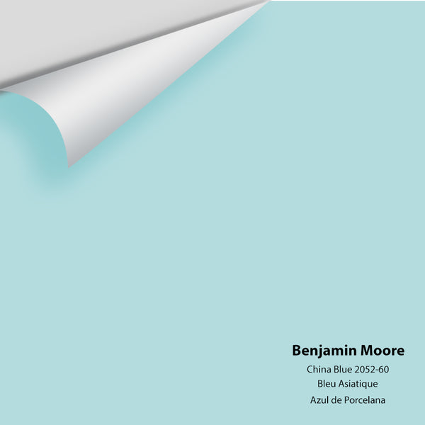 Symphony Blue Paint Sample by Benjamin Moore (2060-10) | Peel & Stick Paint  Sample